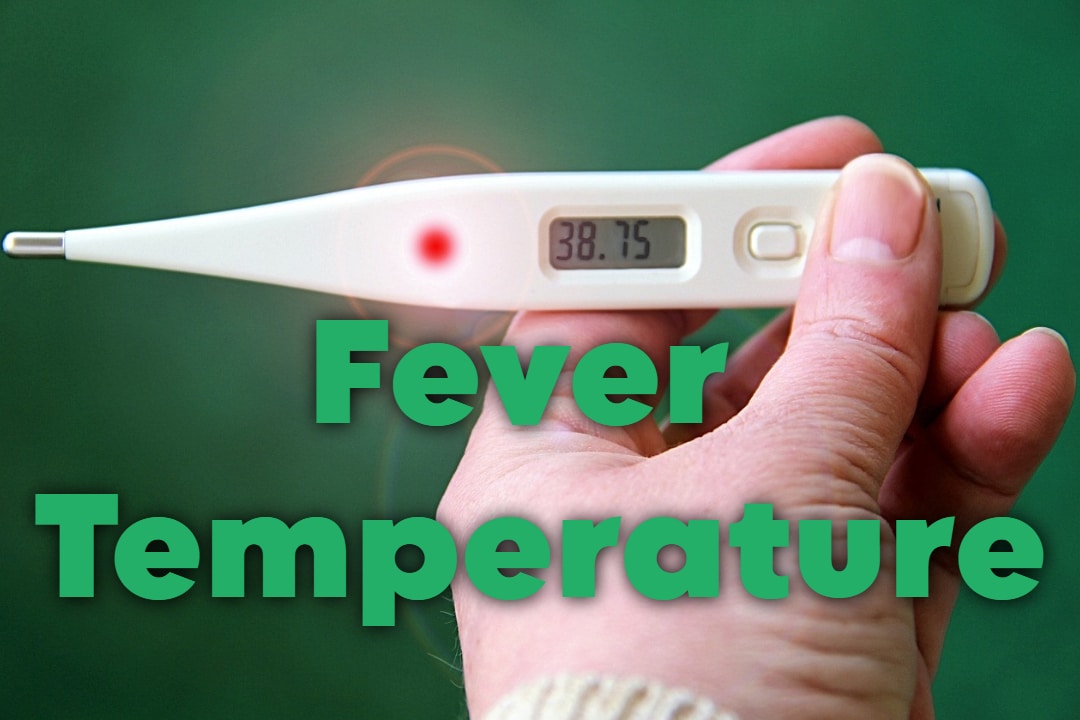 Fever Temperature Chart for Adults and When to Worry