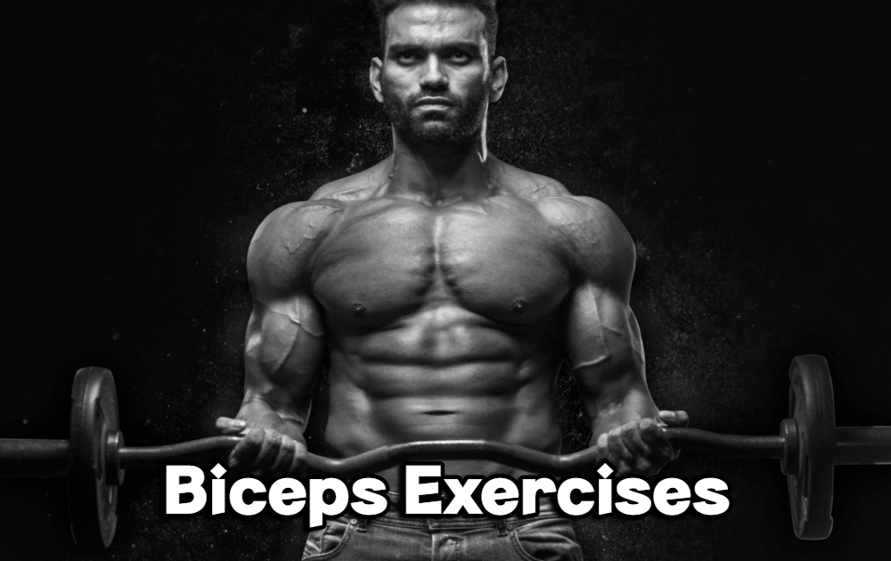 Biceps Exercises for Strong, Defined Arms