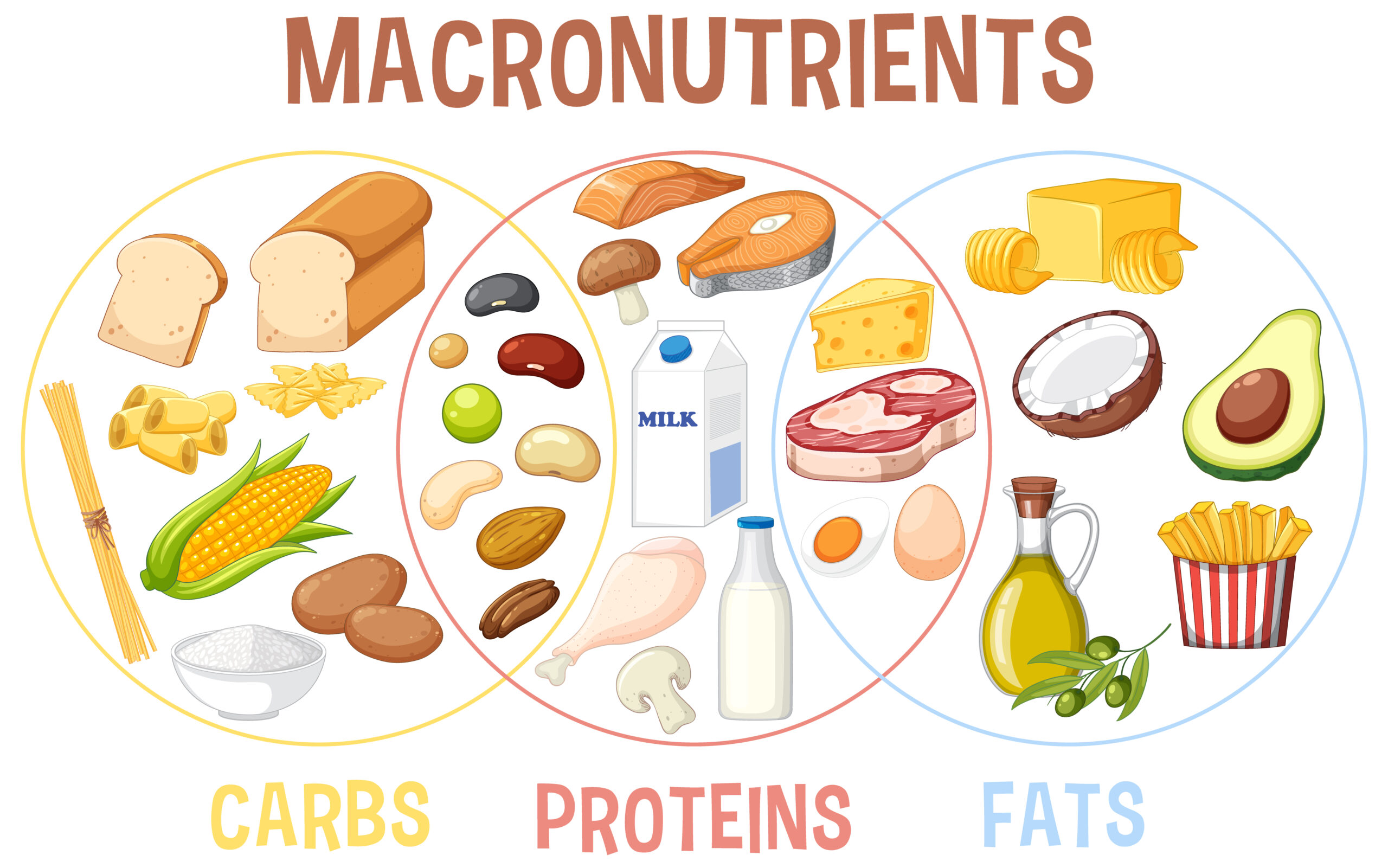 the types, functions, and importance of fats in our diet. Learn about healthy fats, food sources,